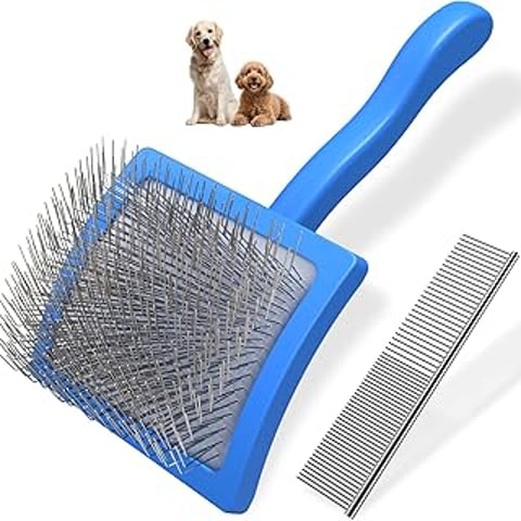 A blue slicker brush with a dog and a puppy in the background.