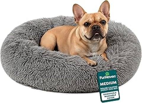 A small dog is laying in a round bed.