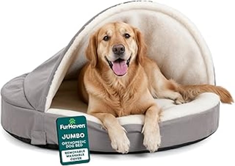 A dog is laying in a dog bed.
