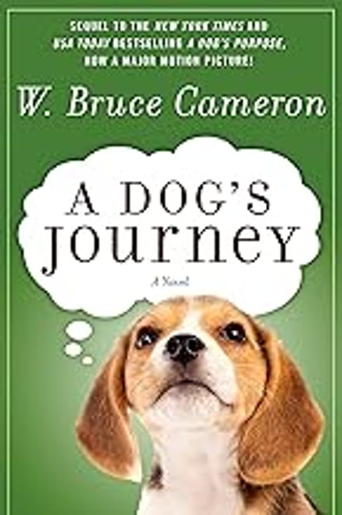 A dog's journey book cover.