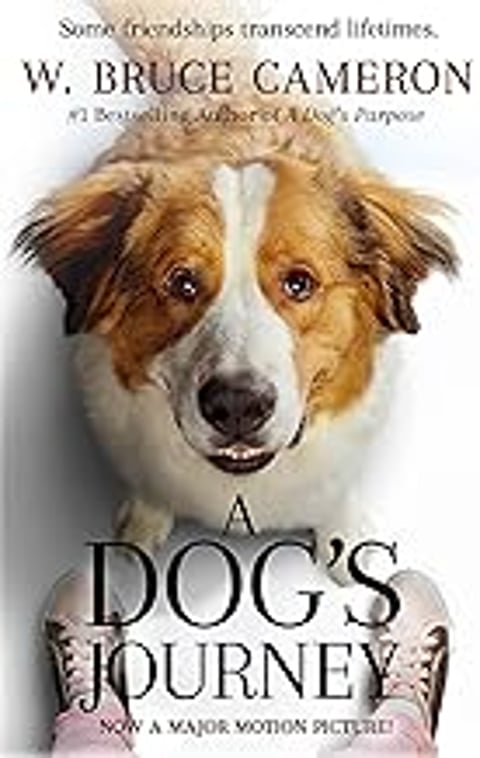 A dog's journey movie tie in.