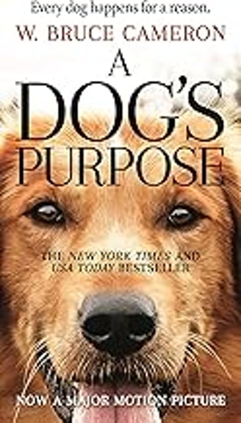 A dog's face with the words "A Dog's Purpose" on the bottom.