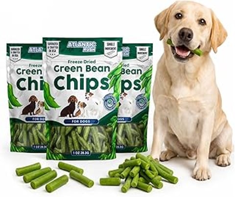 A dog is sitting next to a bag of green beans.