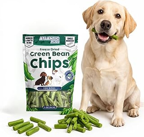 A dog with a bag of green beans in front of it.