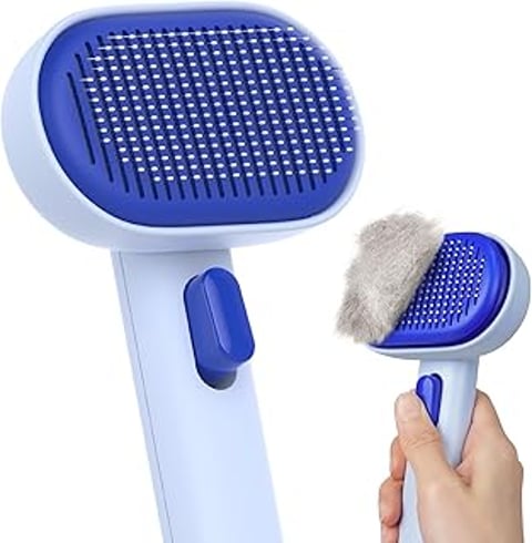 A blue and white brush.