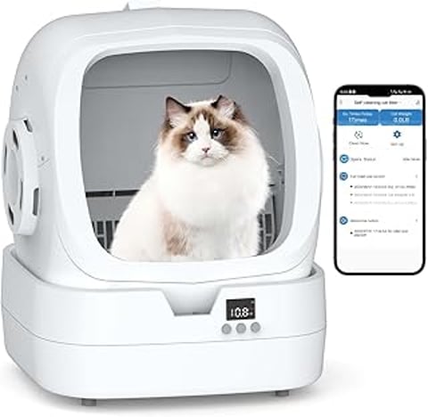 A cat sitting in a litter box with a phone next to it.