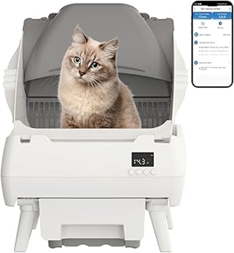 A cat sitting in a self-cleaning litter box.
