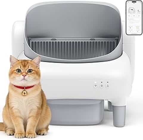 A cat sitting in front of a litter box.