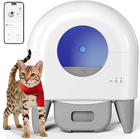 A cat is standing next to a litter box.