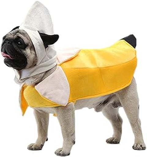 A dog wearing a banana costume.