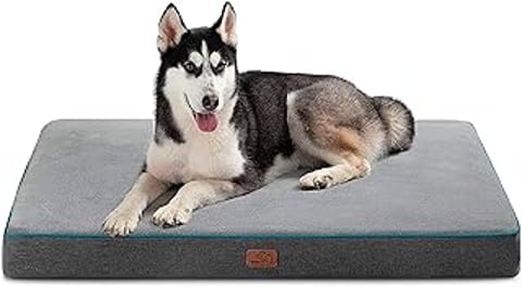 A dog is laying on a dog bed.