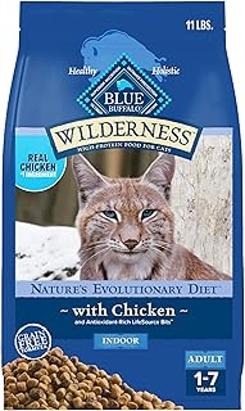 A cat with a blue label on its food.