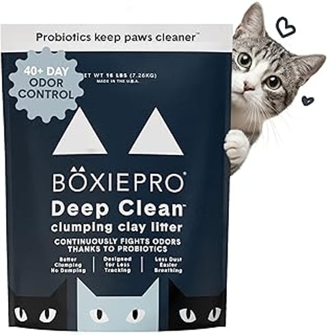 A cat is sitting next to a box of cat litter.