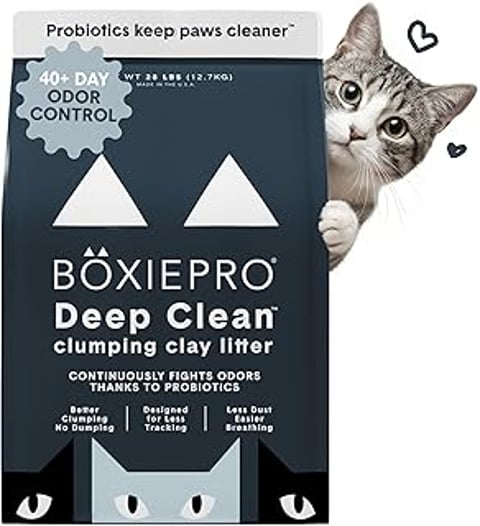 A cat is sitting in front of a box of Boxie Probiotic Cat Litter.