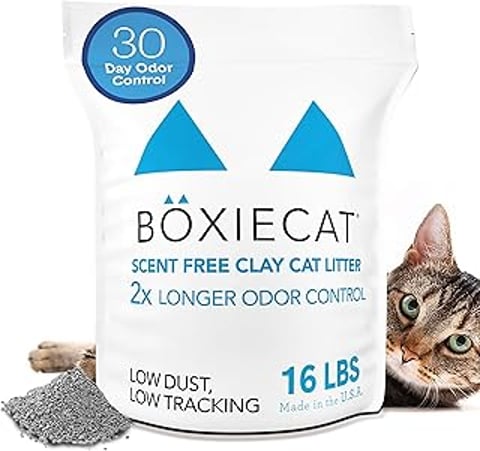 A cat is laying next to a bag of cat litter.