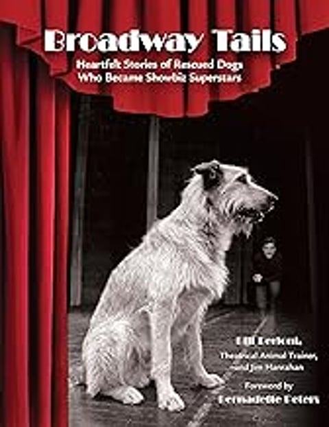 A dog sitting on a stage with a curtain in the background.