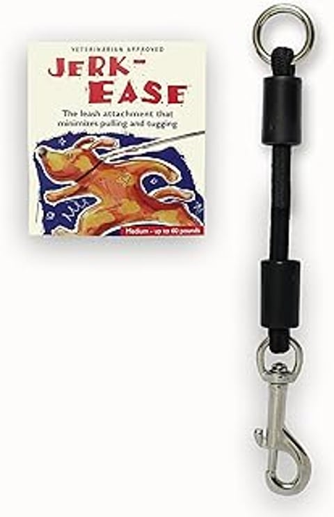 A black bungee dog leash extension.