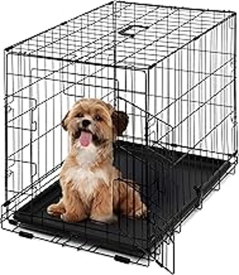 A small dog is sitting inside a wire cage.