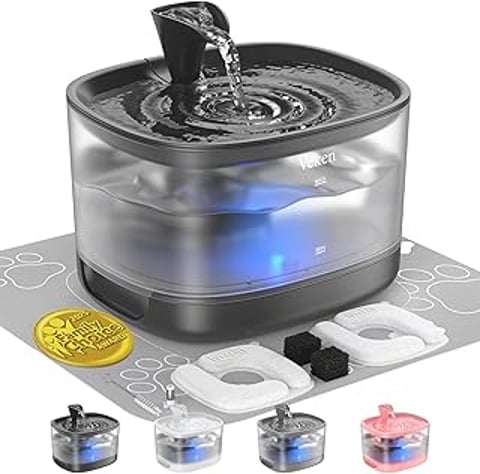 A cat water fountain with a detachable tank.