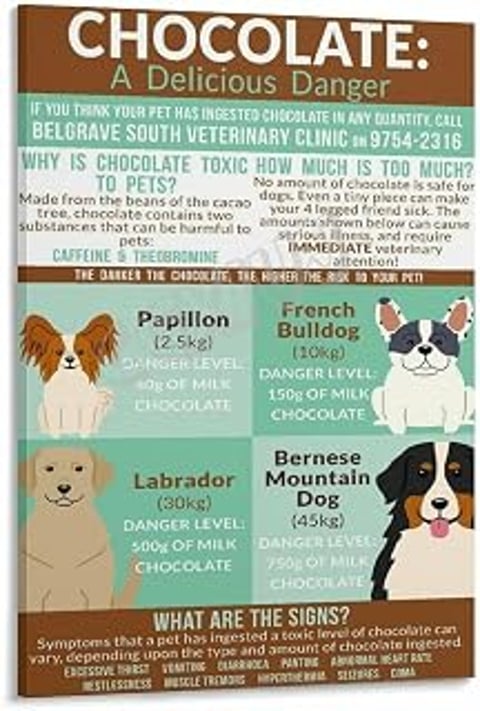 A poster about chocolate toxicity in pets.