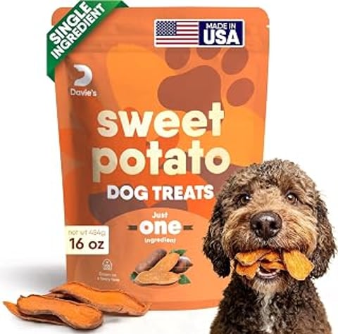 A dog is eating a sweet potato dog treat.