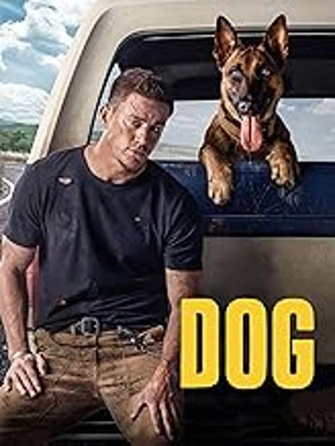 A man is sitting in a truck with a dog.