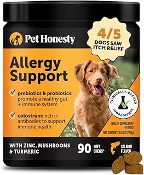 A dog is shown with a smile on its face, and the caption reads "Allergy Support.