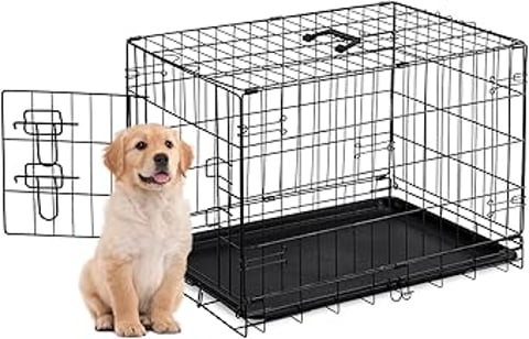 A small dog is standing in front of a metal dog crate.