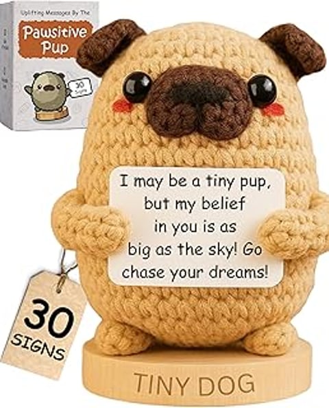 A crocheted dog holding a sign that says "I may be a tiny puppy, but my belief is as big as the sky! Go chase your dreams!