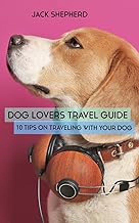 A dog wearing headphones and a leash.