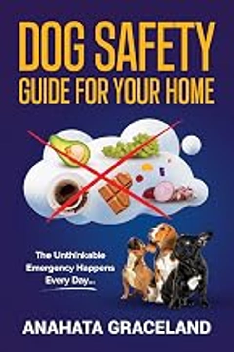 A dog safety guide for your home.