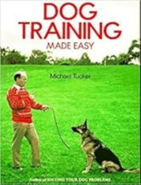A man is training a dog in a field.