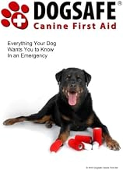 A dog is laying on the ground with a red object in front of it.