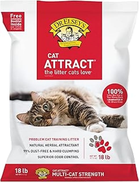A cat is laying on a bed of cat litter.