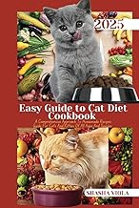 A cat is sitting in front of a bowl of food.
