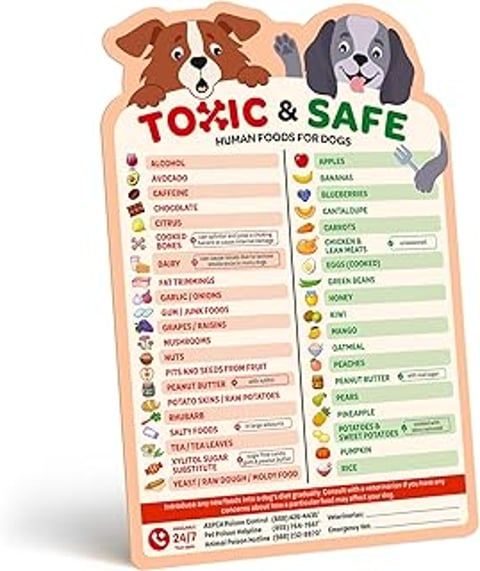 A list of human foods that are toxic to dogs.