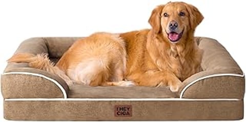 A large brown dog is laying on a dog bed.
