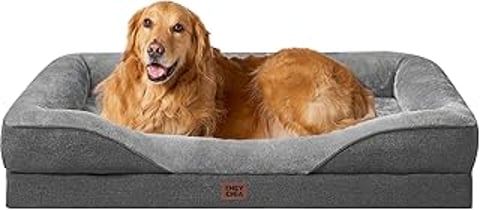 A large brown dog is laying in a bed.