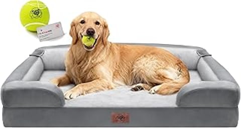 A large dog is laying on a large dog bed.