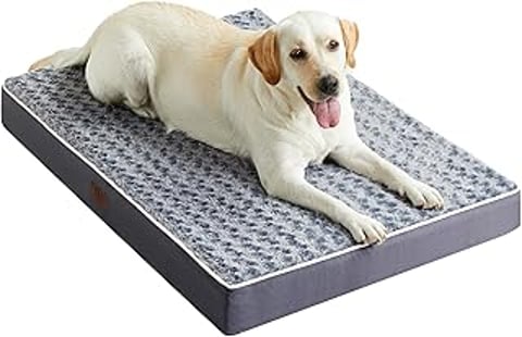 A white dog is laying on a dog bed.