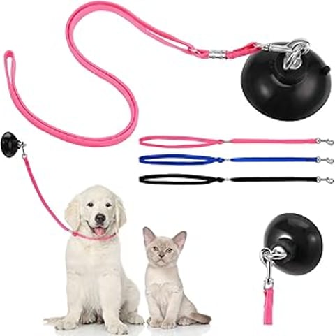 A pink leash with a cat restraint and a black leash with a dog restraint.