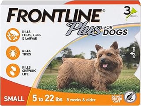 A dog is standing on a grassy field.