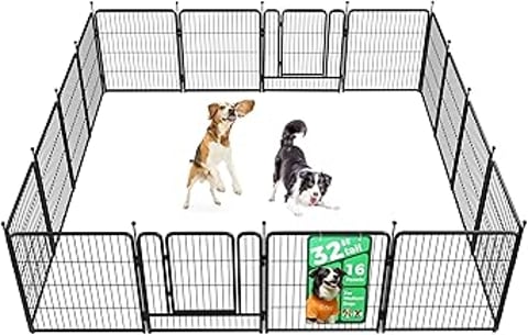 Two dogs are standing in a playpen.