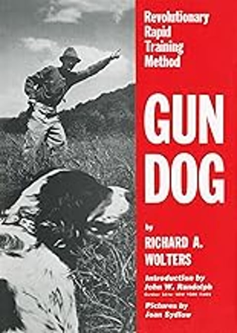 A man is training a dog to be a gun dog.