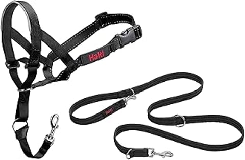 A black and red Halti headcollar and training leash.