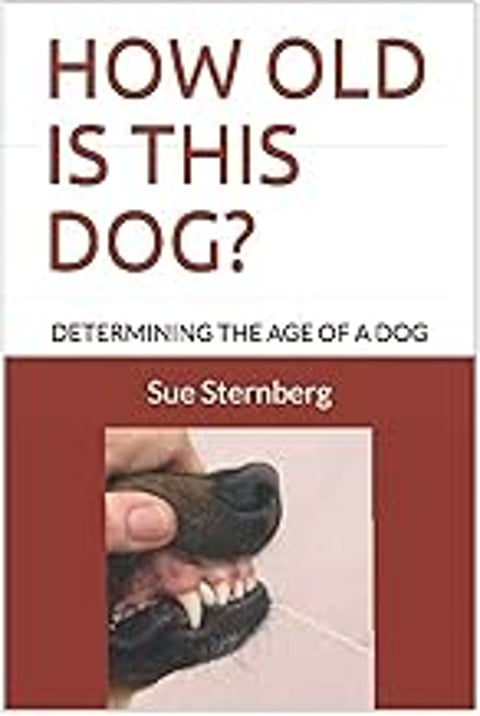 A dog's mouth is being held open by a hand.