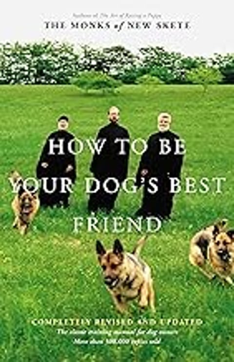 How to be your dog's best friend.