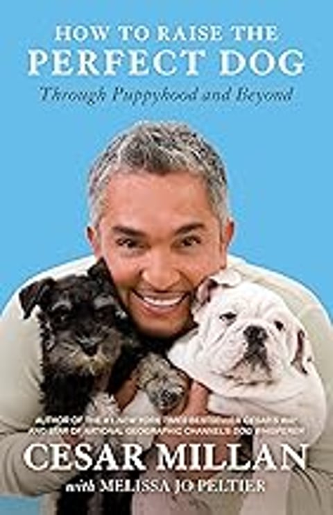 A man holding two dogs, one black and one white.