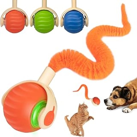 A cat and a dog play with a toy ball.