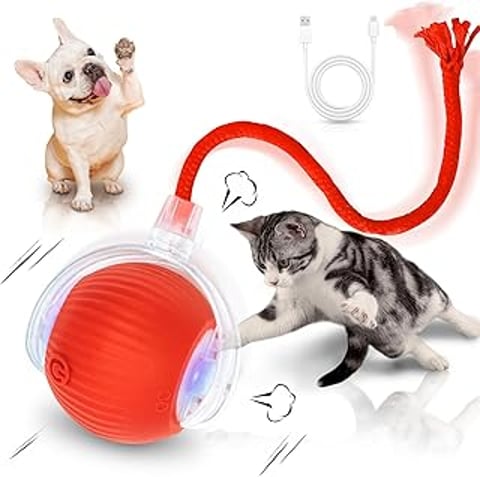 A cat is playing with a red ball.